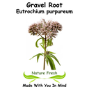 Gravel Root