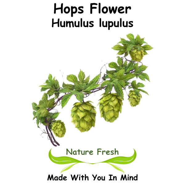Hops