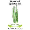 Horsetail