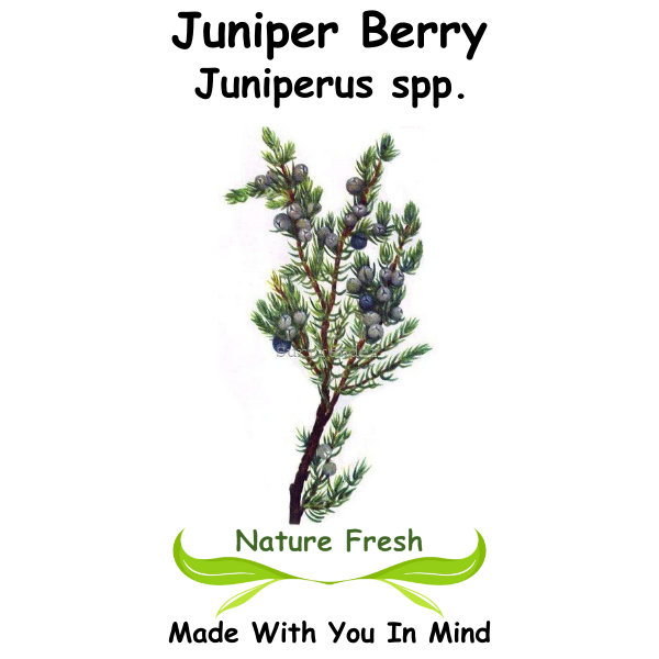 Juniper Berry