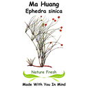 Ma Huang