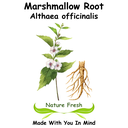 Marshmallow Root