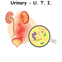 Urinary - U.T.I. ST