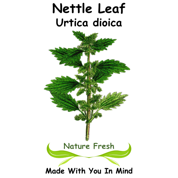 Nettle Leaf