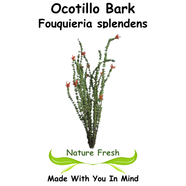 Ocotillo Bark