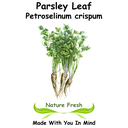 Parsley Leaf