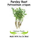 Parsley Root