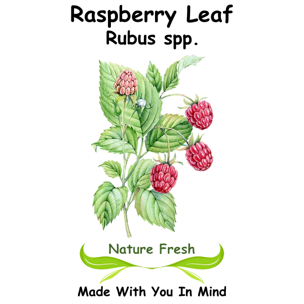 Raspberry Leaf