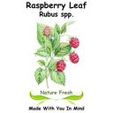 Raspberry Leaf
