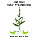 Red Dock