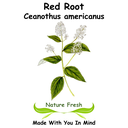 Red Root