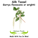 Silk Tassel