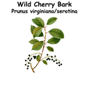 Wild Cherry Bark ST
