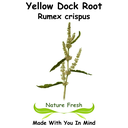 Yellow Dock