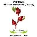 Hibiscus