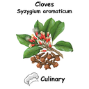 Cloves ST Cul