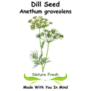 Dill Seed