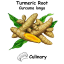 Turmeric ST Cul
