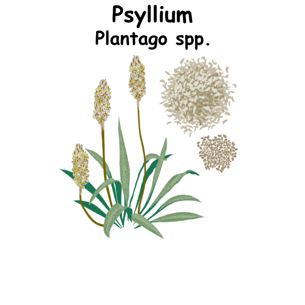 Psyllium ST