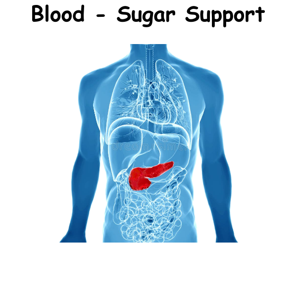 Blood - Sugar Support ST