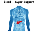 Blood - Sugar Support ST