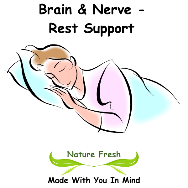 Brain & Nerve - Rest Support