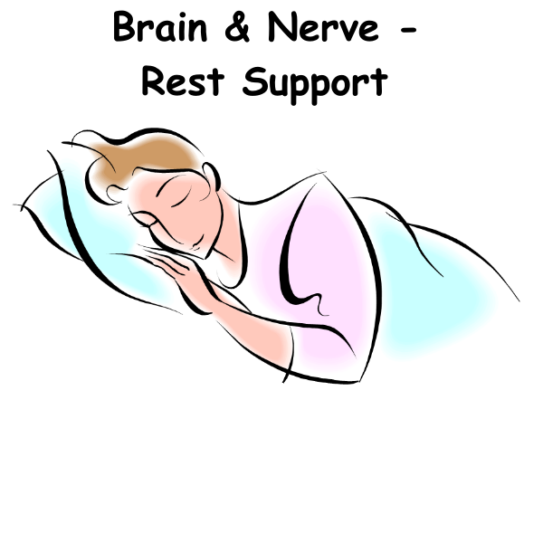 Brain & Nerve - Rest Support ST