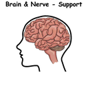 Brain & Nerve - Support ST