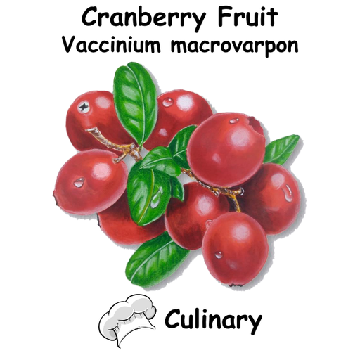 Cranberry ST Cul
