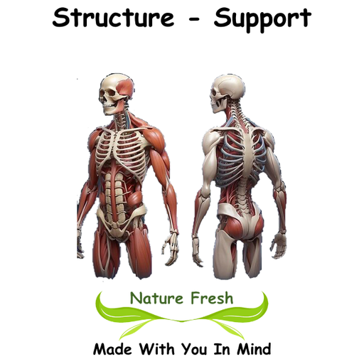 Structure - Support