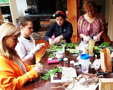 Medicine Making - Tinctures
