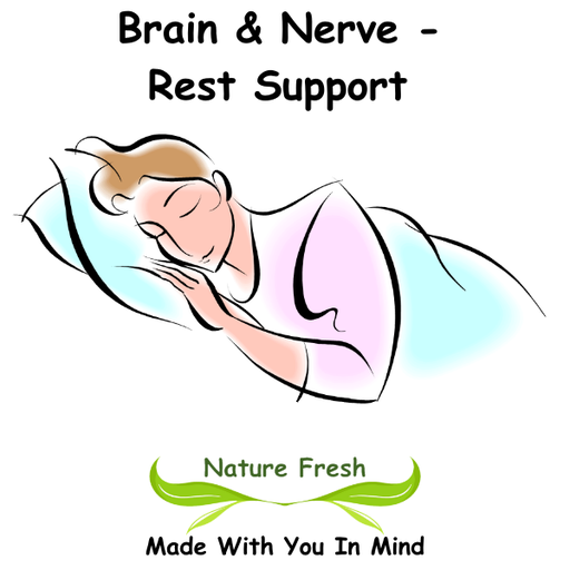Brain & Nerve - Rest Support