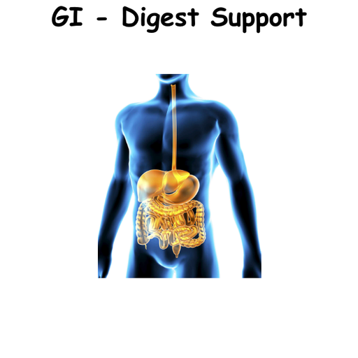 GI - Digest Support ST