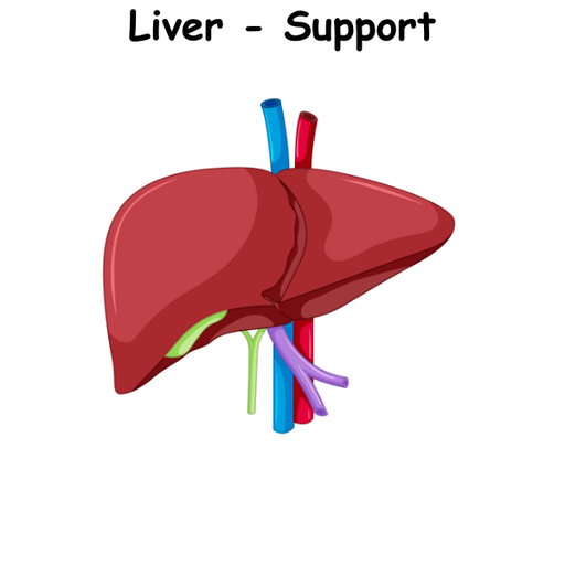 Liver - Support ST