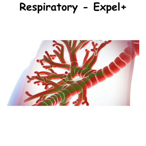 Respiratory - Expel+ ST