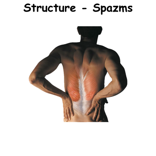 Structure - Spazms ST