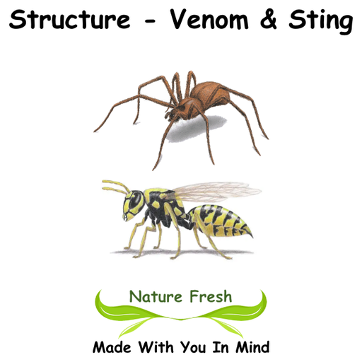 Structure - Venom & Sting