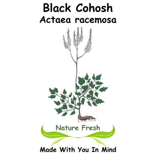 Black Cohosh