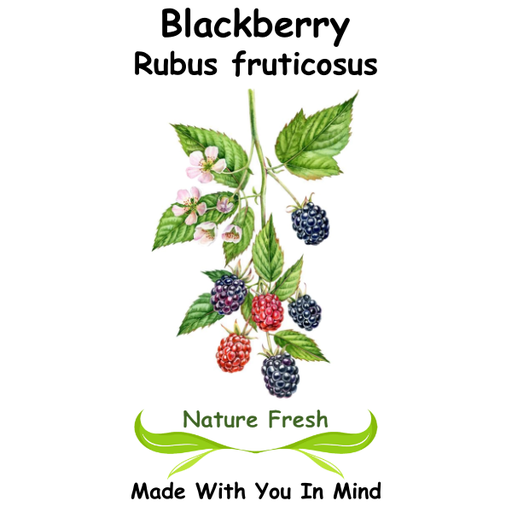 Blackberry