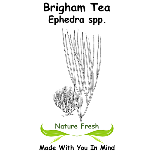 Brigham Tea