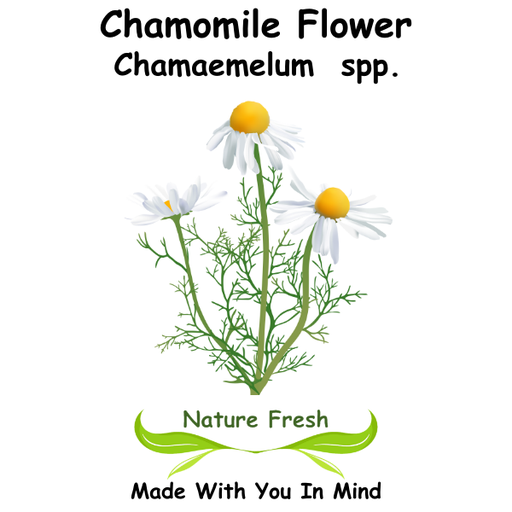 Chamomile