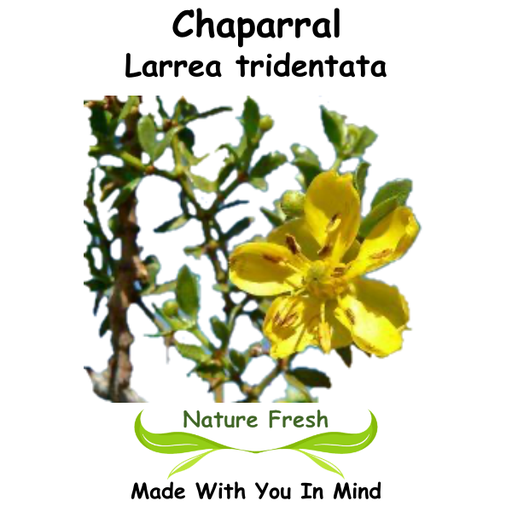 Chaparral