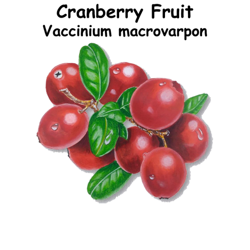 Cranberry ST