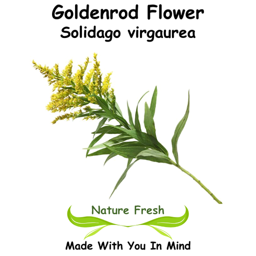Goldenrod