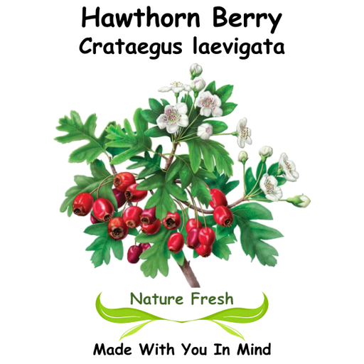 Hawthorn