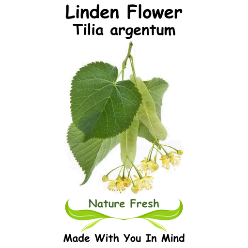 Linden