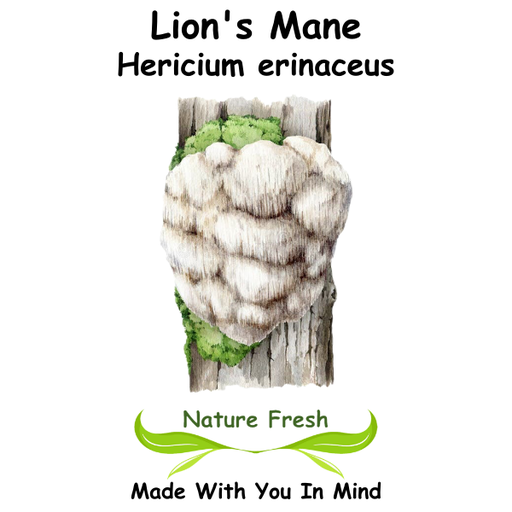 Lion's Mane