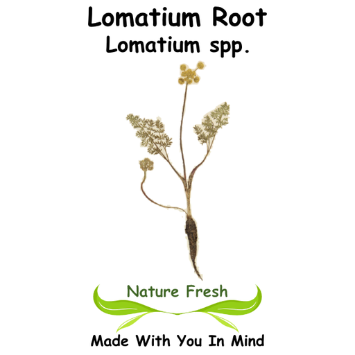 Lomatium