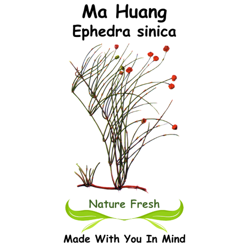 Ma Huang