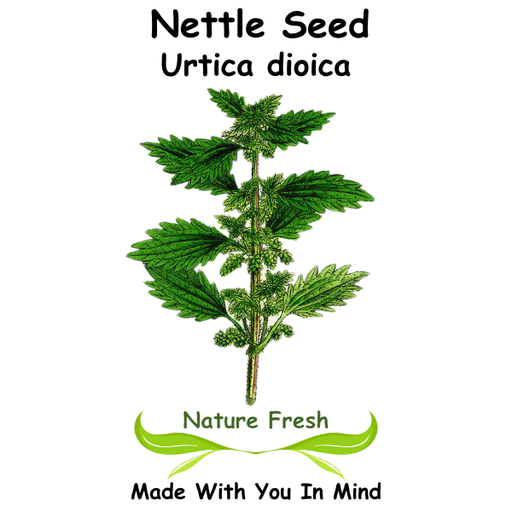 Nettle Seed